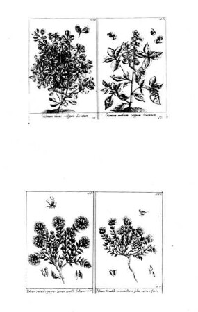 1059-1062