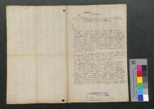 Ein ungenannter Schreiber erzählt die Stiftung des Klosters St. Klara zu Freiburg im Jahre 1272.