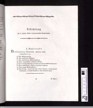 Erklaerung der in diesem Hefte vorkommenden Kupfertafeln (1)