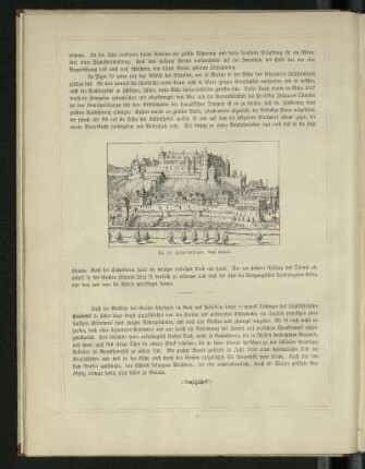 Fig. 19. Hohen-Tübingen. Nach Merian.