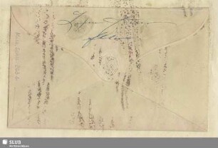 263b: Haarlocken von Clara und Robert Schumann - Mus.Schu.263b