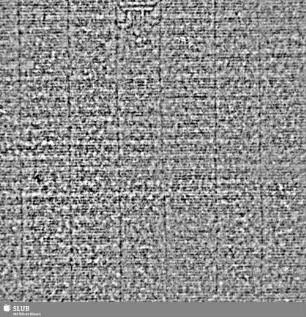 Lilie / CVC = S.5/6