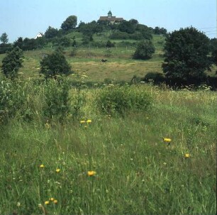 Schrecksbach-Schönberg (Schwalm-Eder-Kreis). Blick über Wiesen gegen die Kapelle Schönberg (15. Jh.) auf dem Basaltkegel über dem Schwalmtal