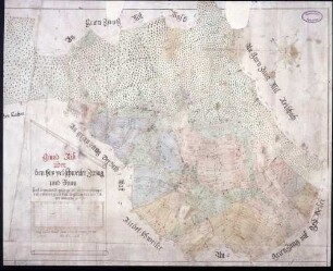Grundriss über den Hippetsweiler (Hippetschweiler) Zwing und Bann
