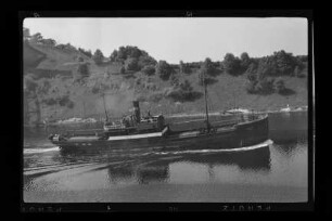 Greif (1909)