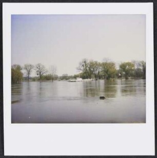 Die Elbe bei Wörlitz
