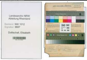 Entnazifizierung Elisabeth Dollischall , geb. 04.09.1895 (Viehmakler)