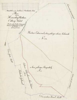 Plan über den herrschaftlichen Oelberg-Wald