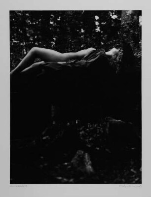 Im Wald : Im Wald II (Liegender Akt). Fotografie; 50 x 35 cm Blattgröße, 38,6 x 29,2 cm Bildgröße. 1979
