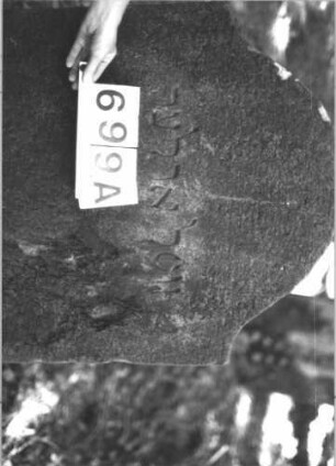 Grabstein 699 (Index: 99900501) Material: Sandstein Zustand: stark verwittert Maße HxBxT: 123x67x11 cm Beschreibung: Stele mit Konvexbogenabschluss, im Bogenfeld Palmette, unten Plattenfries (?) Symbolik: Palmette, Plattenfries: Grabstein 699A