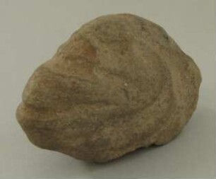 Steinkopf