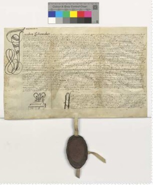 Propst Jacob Schomaker transsumiert eine Präsentation der Bürgermeister und Ratsmannen für eine Vikarie am Hochaltar der Heiligen Geist Kapelle bei der Sülze und nimmt die entsprechende Investitur vor. Notar Nicolaus Steman [lat].