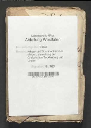 Das Wildemanns-Kolonat im Kirchspiel Schale