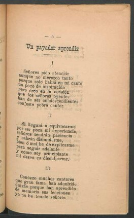 Un payador aprendíz