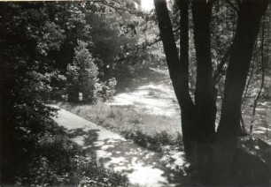 Oberlausitz. Mittleres Spreetal. Uferpromenade im Vogelhain (Humboldthain) oberhalb der Weiten Bleiche