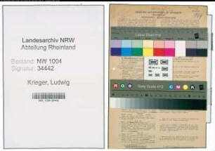 Entnazifizierung Ludwig Krieger , geb. 07.03.1900 (Masch.Schlosser)