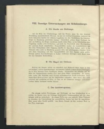 VIII. Sonstige Untersuchungen am Schulzenberge.