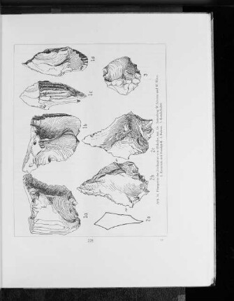 Abb. 36. Flintgeräte der Zivilisation von Oldesloe, nat. Gr. Sammlung W. Sonder und W. Wolf. 1. Kernstein mit Handgriff. 2. Bohrer. 3. Rundschaber.