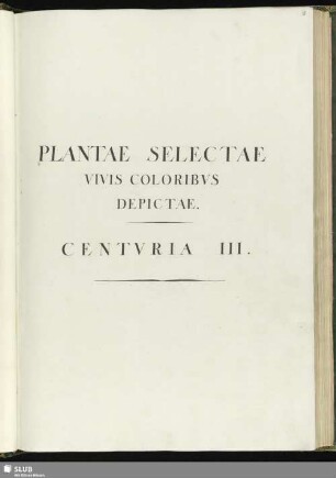 3: Plantae selectae vivis coloribus depictae. Band 3. - Mscr.Dresd.App.3413,Bd.3