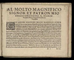 Dedikation an Francesco Maria Vialardo von Teodoro Riccio