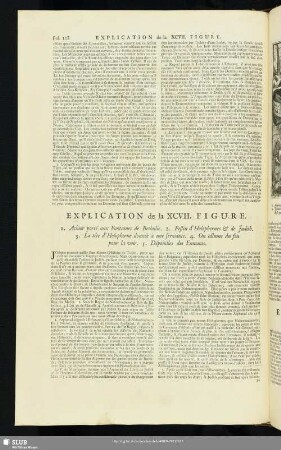 Explication de la XCVII. Figure
