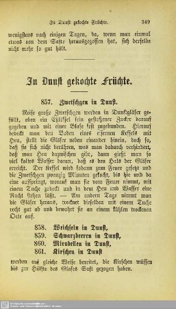 24. In Dunst gekochte Früchte