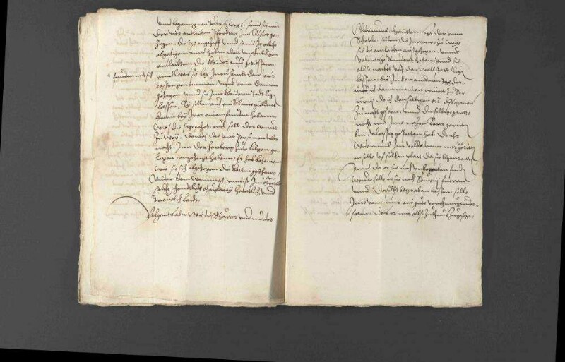 Pfalzgraf Wolfgang bittet hinsichtlich seines Hofmeisters Heinrich von Ulm, der mit Begleitern nach Frankreich geschickt worden war und dort bei einem Kloster nahe Toul in einen Hinterhalt geriet und getötet wurde, um Rat bei der Verfolgung der Täter.