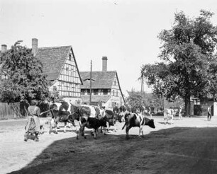Profen. Dorfstraße