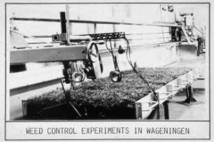 Weed control experiments in Wageningen