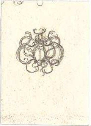 Gmelin, Leopold; Sammlung Gmelin: Handzeichnungen - Folio 13 - Schmuck (Detail)