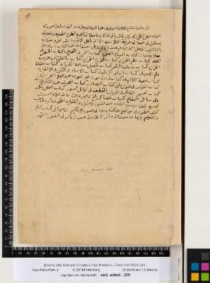 Codex Balhi: Suwar al-aqalim