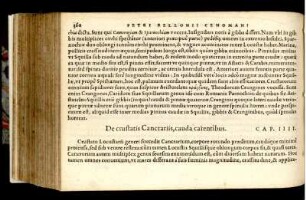 De crustatis Cancrariis, cauda carentibus. Cap. IIII