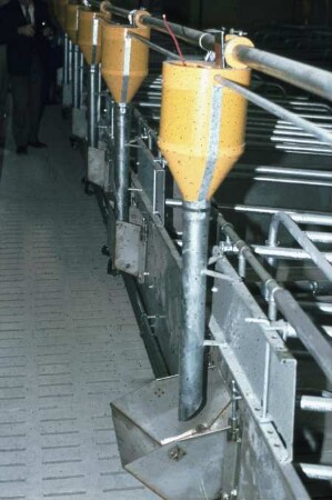 Fotografie: Fütterungstechnik, Mastschwein, Trockenfütterungsanlage, Dosiereinrichtung