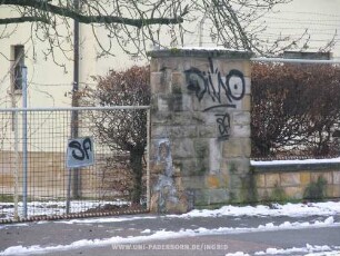 Dino Sf