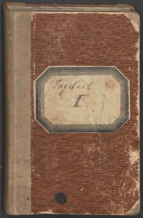 Bd. I: Tagebuch I: Seereise von Hamburg nach Rio de Janeiro [und Reise auf dem Rio Doce (5. Juni 1884 - 23. September 1885)]