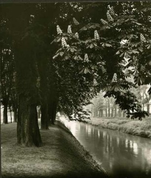 Frankenthaler Kanal