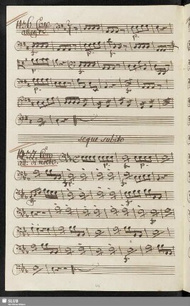 1437. Coro: Ma che sarà possibile / Seydelmann, F.