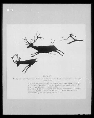 Hirschjagd
