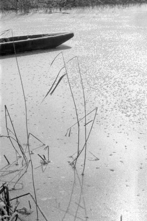 Winterlicher Altrhein