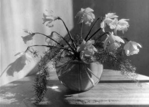 Blumen in Vasen. Osterglockenstrauß in einer Glasvase