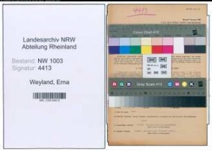 Entnazifizierung Erna Weyland , geb. 06.03.1896 (Roentgenassistentin)