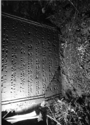 Grabstein 549 (Detailaufnahme 2)