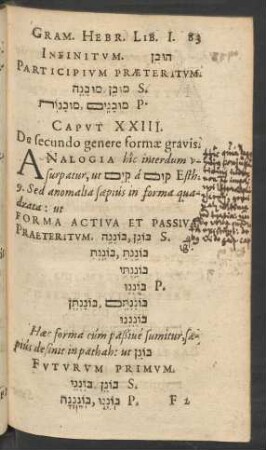 Caput XXIII. De secundo genere formae gravis.