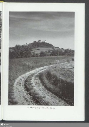Otzberg, Burg mit Städtchen Hering