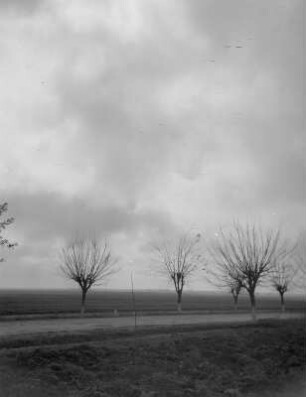 Landschaftsbild