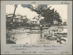 Am Strand von Limbé, Kamerun : Blick auf die erste Häuserzeile mit Palmen der früheren "Victoriapflanzung" in Limbé, im Vordergrund Strand und einige Personen