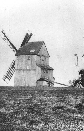 Bernstadt auf dem Eigen-Dittersbach auf dem Eigen. Windmühle des letzten Windmüllers Schröter, Repro