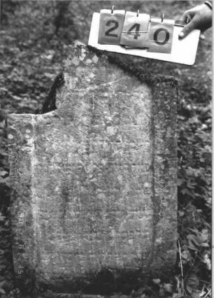 Grabstein 240 (Index: 100106973) Material: Kalkstein Zustand: stark verwittert, vollständiger Textverlust Maße HxBxT: 103x67x18 cm Beschreibung: Stelenfragment, Schriftfeld eingetieft: Grabstein 240