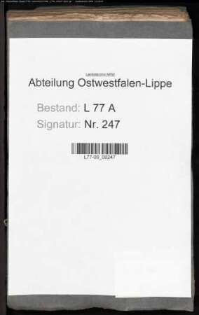 Anstellung der herrschaftlichen Richter im Flecken Lage.- Aufhebung des Richteramts in der Stadt Lage