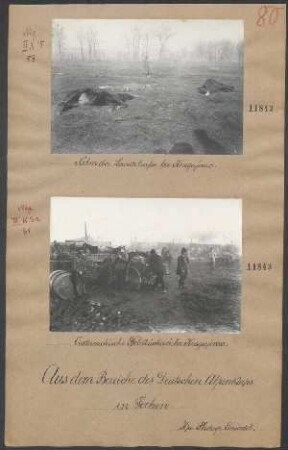 Neben der Landstraße bei Kragujevac